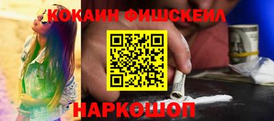 твердый Кингисепп