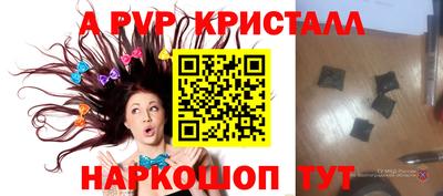 твердый Кингисепп